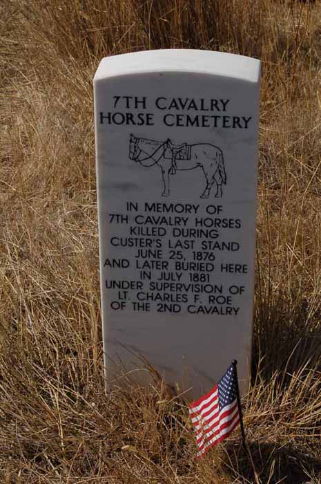 horse cemetery